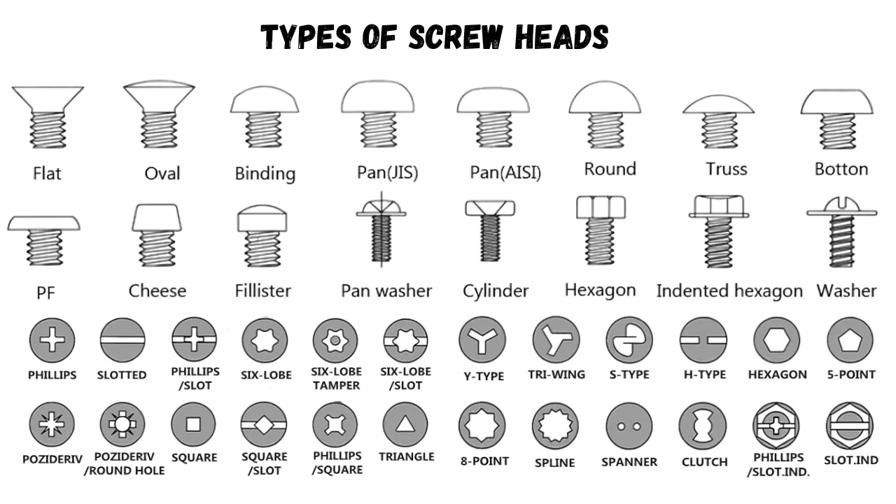 Types of Screw Heads