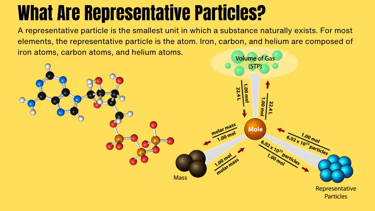 What Are Representative Particles?