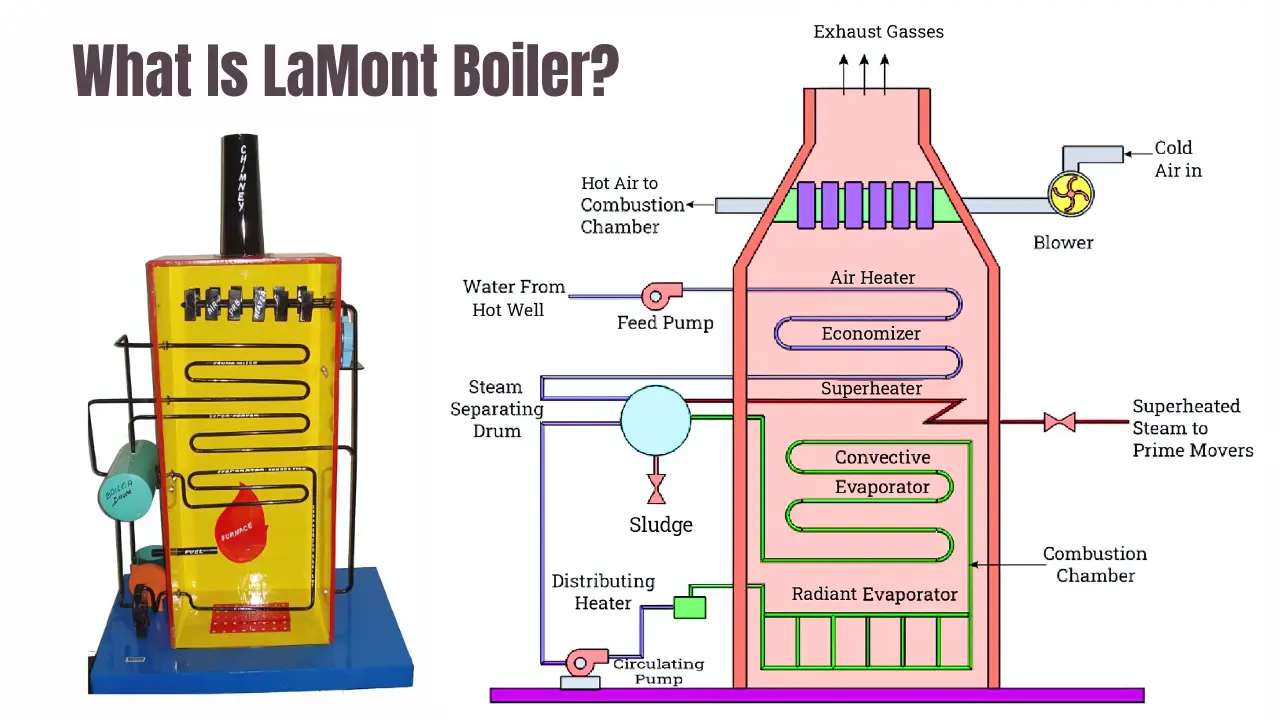 What Is LaMont Boiler
