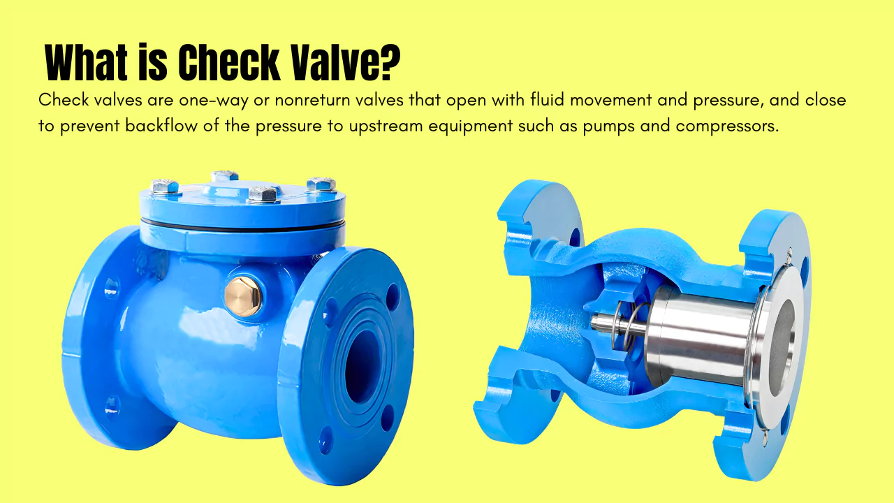 What is Check Valve?