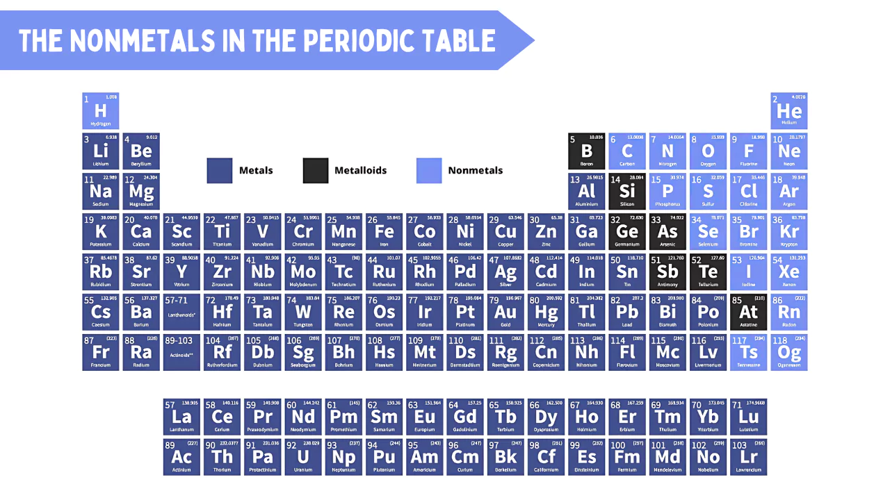The Nonmetals In The Periodic Table